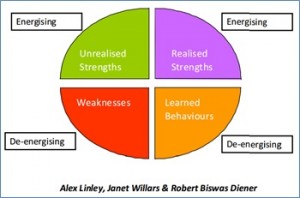 The Strengths Model