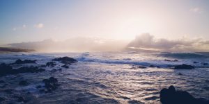 Know the physical, emotional and behavioral effects of stress by reading this article.
