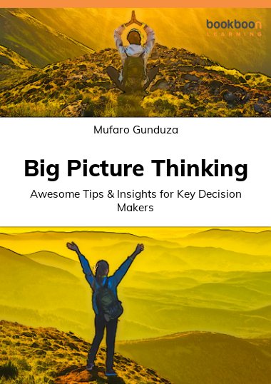 What Is Big Picture Thinking Examples