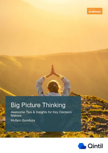Big Picture Thinking