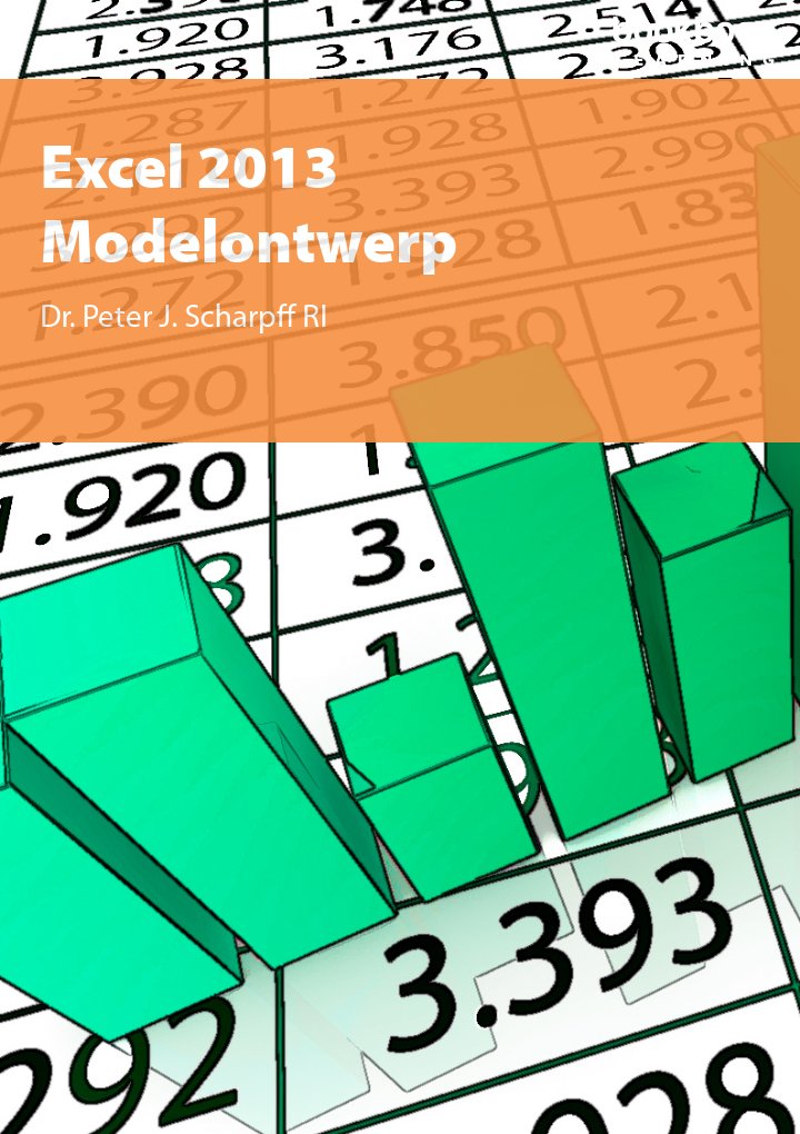 Excel 2013 Modelontwerp