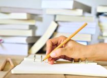 Expert essay
